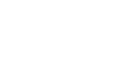 WebSupport logo